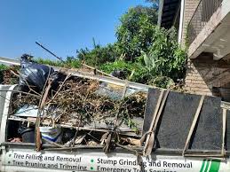 Best Estate Cleanout  in Weidman, MI